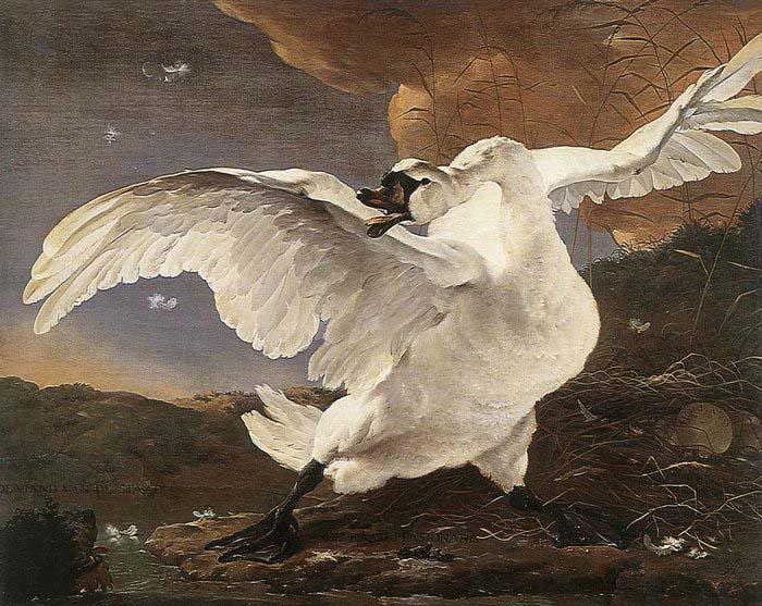 ASSELYN, Jan The Threatened Swan before 1652